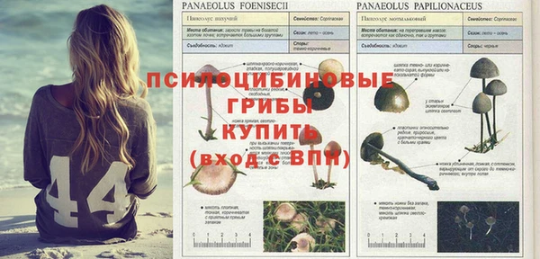 MESCALINE Вяземский